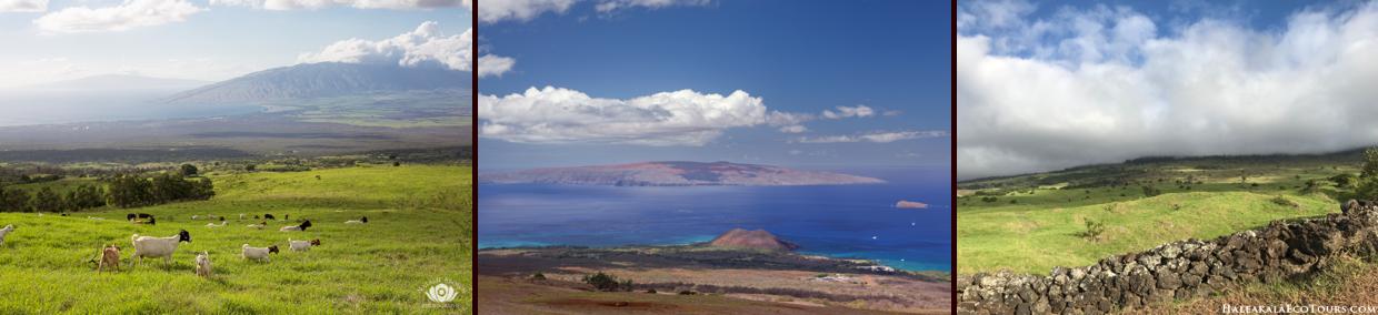 kula maui