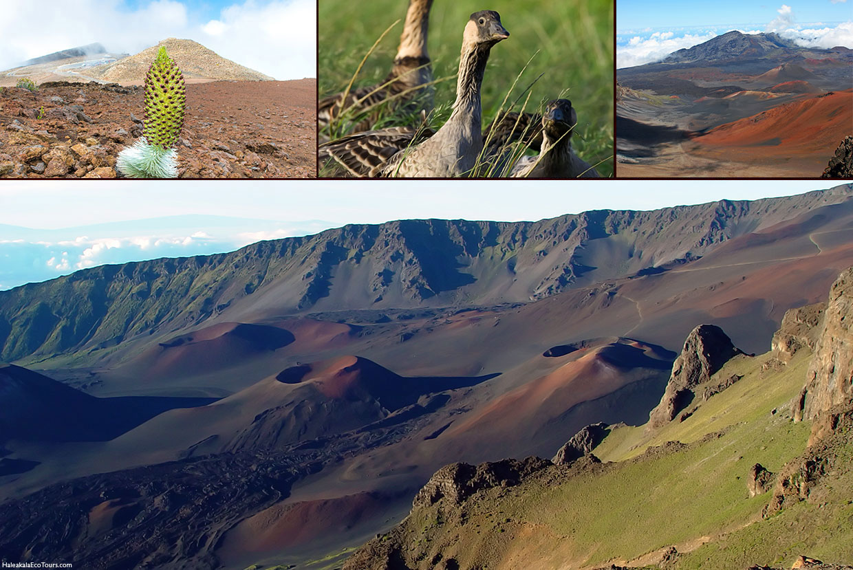 haleakala day