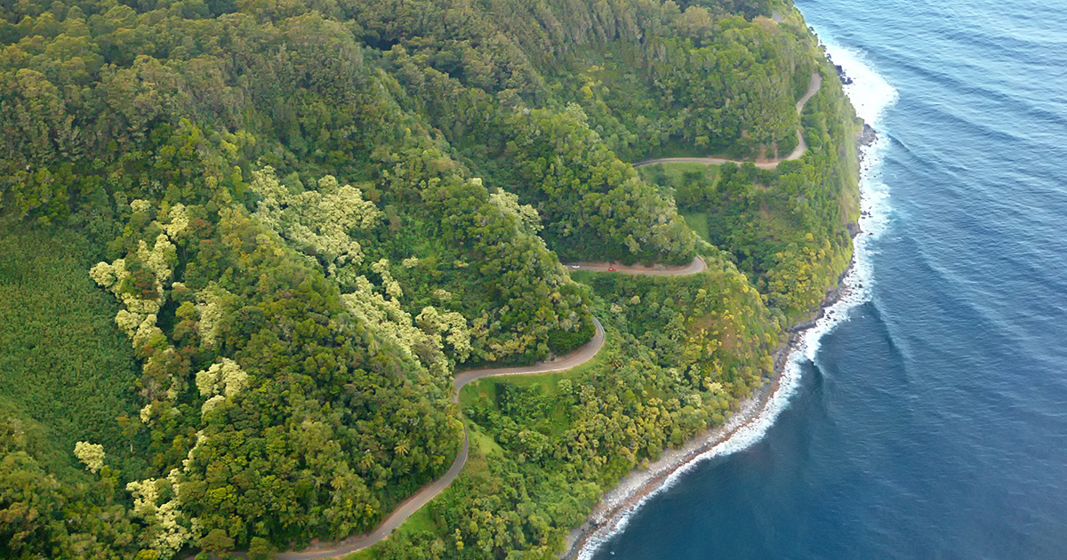 Road to Hana Tours | Guided Tour Along the Scenic Hana Highway