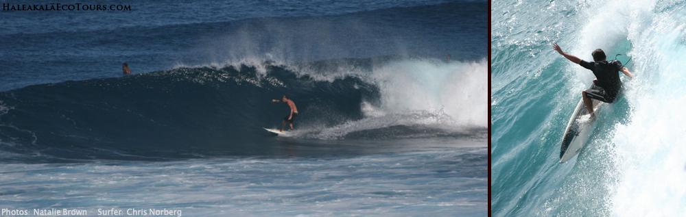 surfing big Hawaii waves