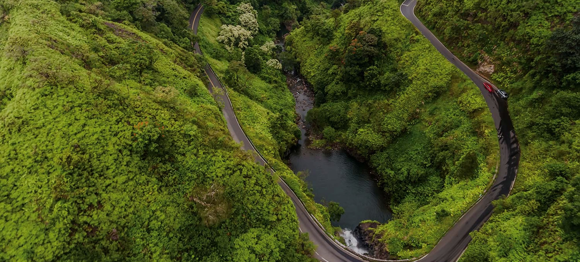Road to Hana Tours | Guided Tour Along the Scenic Hana Highway