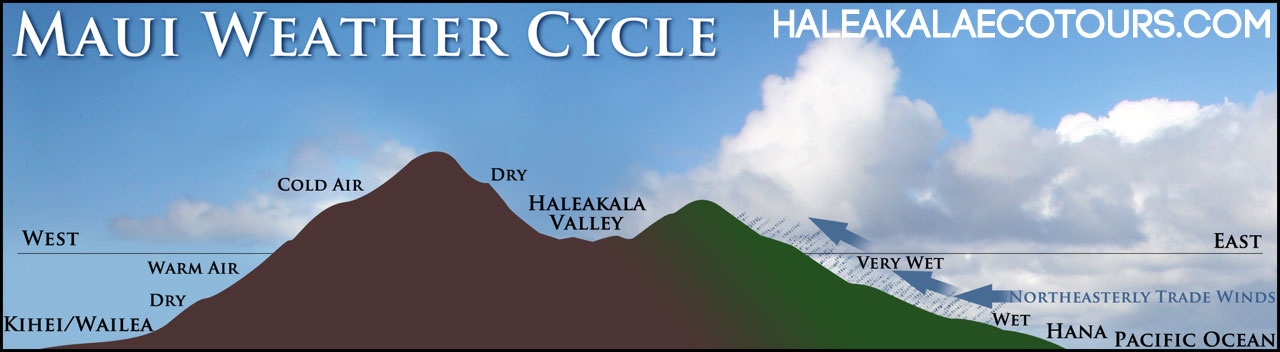 Maui Weather Cycle