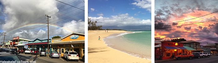 eco tourism in maui hawaii