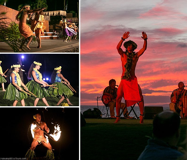 Hawaiian Luau History Dancers