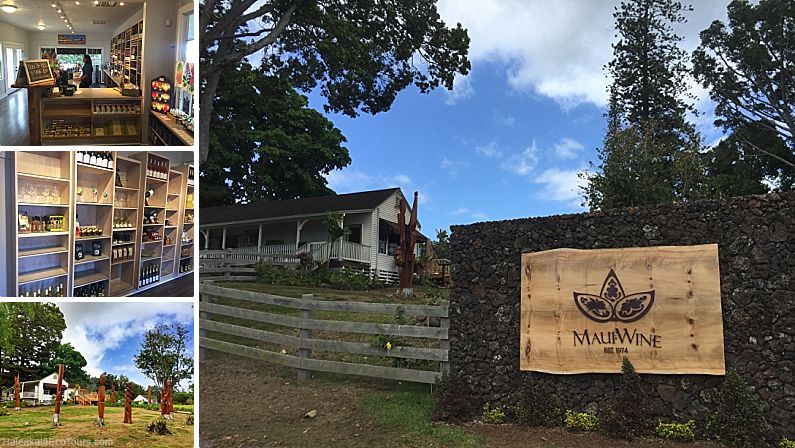 Upcountry Maui Wine Ulupalakua