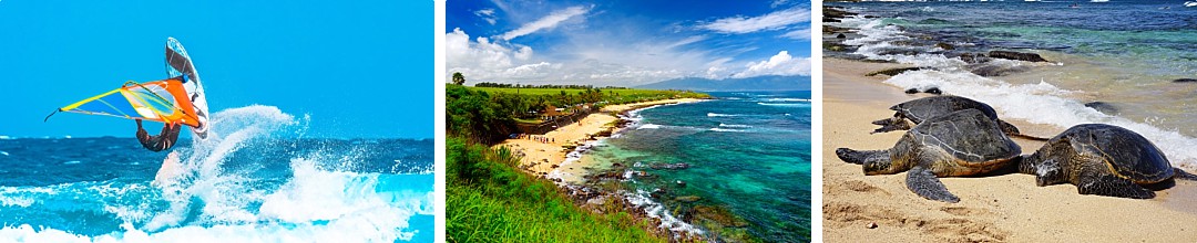 Discover Maui's Best Towns Hookipa Beach Park