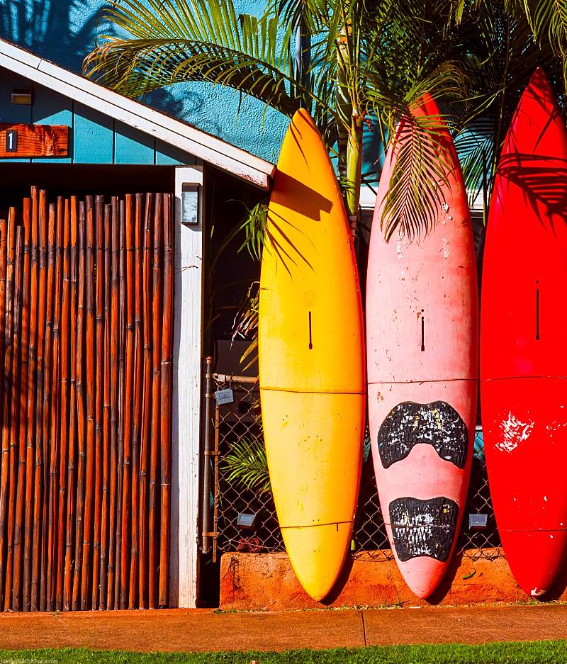 Maui Scenic Shuttle Surfboard Fence