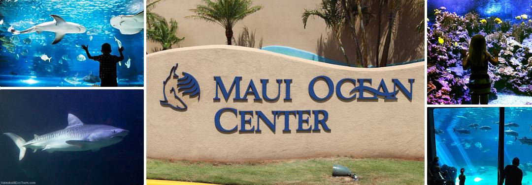 South Shore Scenic Shuttle Maui Ocean Center