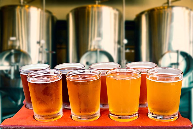 Maui Breweries Beer Tasting Flight