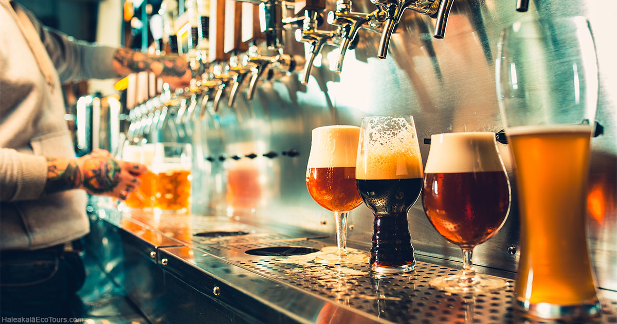 Our Favorite Maui Breweries Haleakala Ecotours