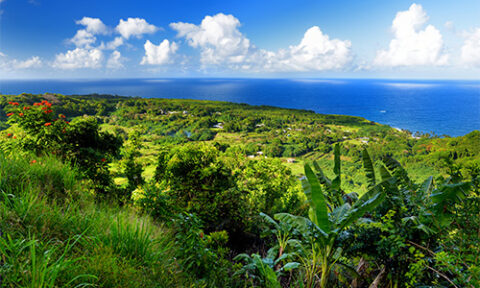 Haleakala Tours - Sunrise, Day, and Sunset tours to the Crater and Beyond