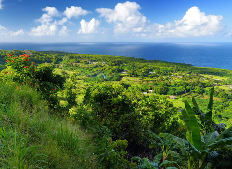 Haleakala EcoTours Tropical Rainforest Tour